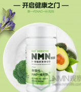 NMN抗衰老的原因是什么？NMN逆龄的原因是什么？