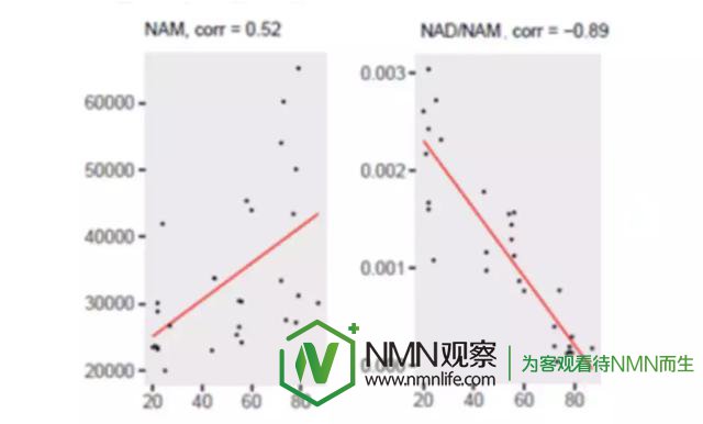 NMN中国：提升NAD+方式比较，烟酰胺/NAM可能是一个糟糕的策略