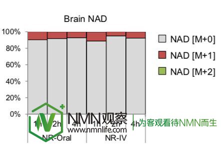 NMN中国：提升NAD+方式比较，烟酰胺/NAM可能是一个糟糕的策略