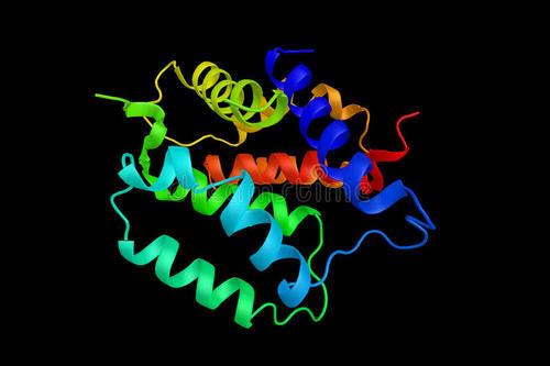 神经系统产生的蛋白质可能有助于治疗炎性疾病