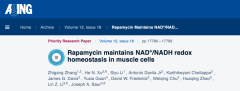 美科学家发现增加NAD+/NADH可改善肌细胞代谢，从而延长寿命